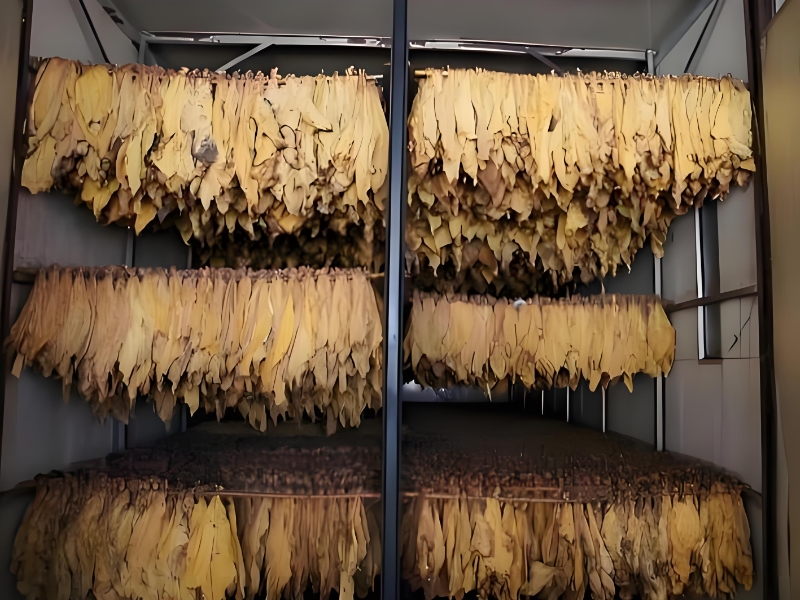 儲(chǔ)煙磷化氫與二氧化碳混合熏蒸注意事項(xiàng)