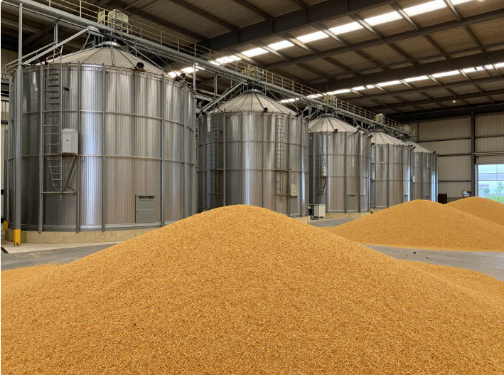 糧倉硫酰氟氣體檢測設備